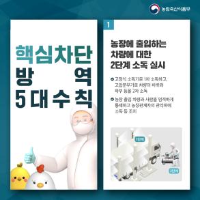 고병원성 AI 차단을 위한 5대수칙 이미지