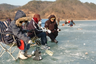 대청호 빙어낙시