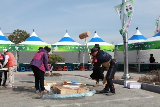 묘목축제 둘째날