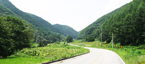 가산사 영정각으로 가는 길의 거리 사진