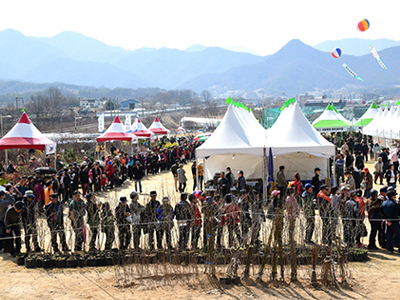 3월, 묘목축제